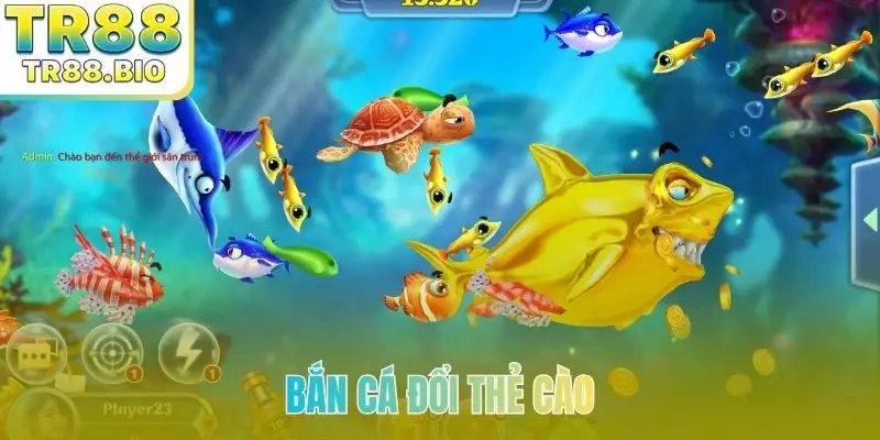 bắn cá đổi thẻ cào