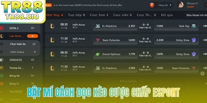 Bật mí cách đọc kèo cược chấp esport