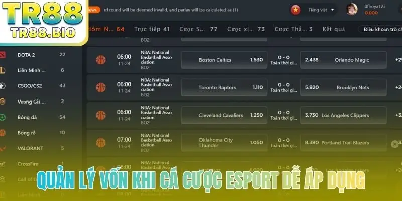 Quản lý vốn khi cá cược esport dễ áp dụng