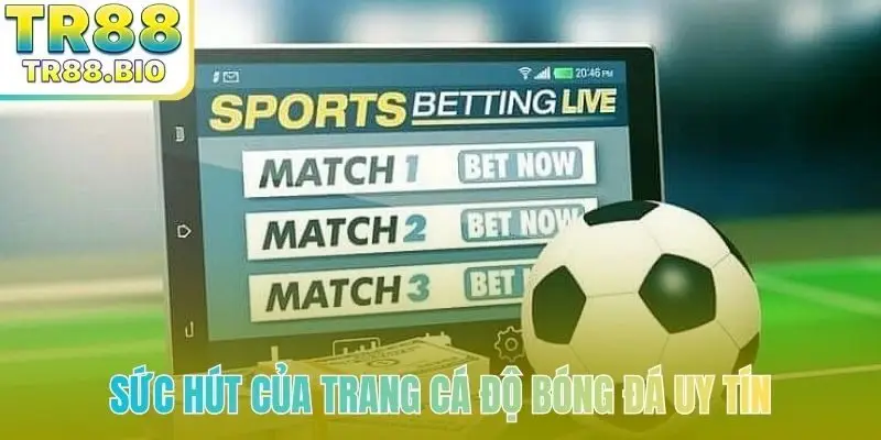 Sức hút của trang cá độ bóng đá uy tín